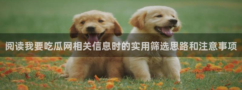91吃瓜最新网址
